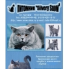 Британские голубой котенок  из питомника Silvery Snow
